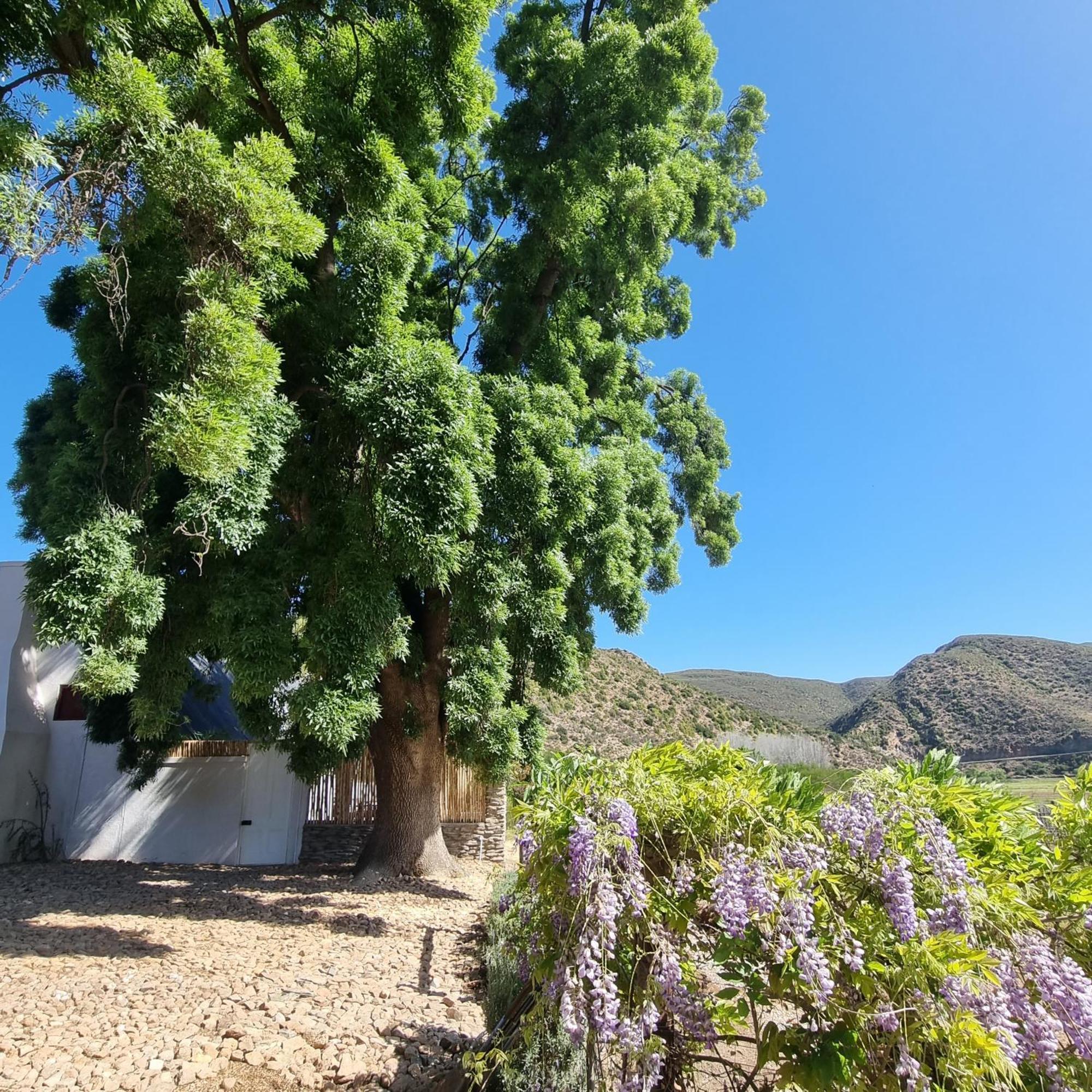 De Kombuys Oudtshoorn Zewnętrze zdjęcie